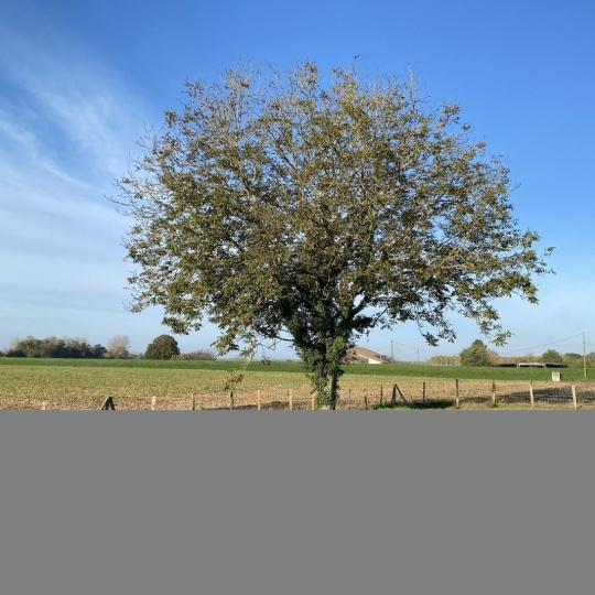  Agence Marboutin Immobilier : Maison / Villa | MARMANDE (47200) | 97 m2 | 199 500 € 