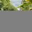  Agence Marboutin Immobilier : Maison / Villa | MARMANDE (47200) | 150 m2 | 116 600 € 