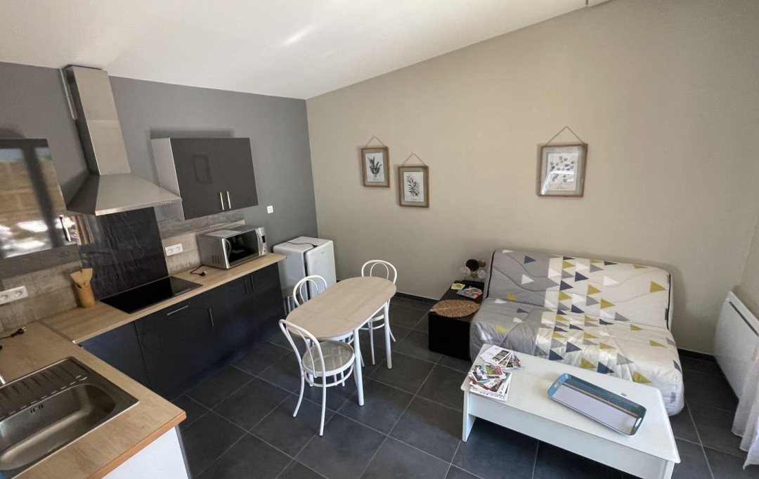 Agence Marboutin Immobilier : Maison / Villa | CASTELJALOUX (47700) | 216 m2 | 294 000 € 