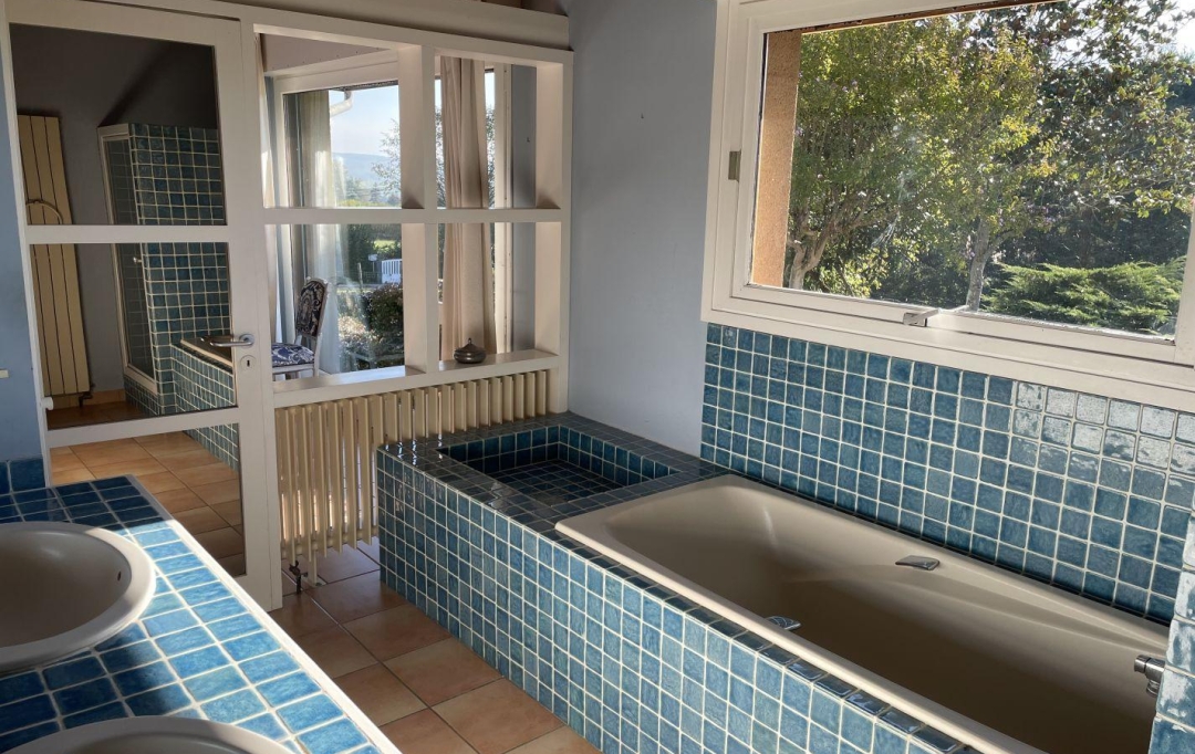 Agence Marboutin Immobilier : Maison / Villa | CASTELJALOUX (47700) | 265 m2 | 462 000 € 