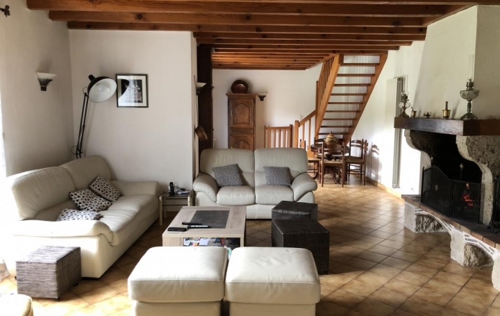 Agence Marboutin Immobilier : House | CASTELJALOUX (47700) | 225 m2 | 299 000 € 