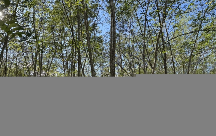  Agence Marboutin Immobilier Domaines / Propriétés | CASTELJALOUX (47700) | 160 m2 | 493 000 € 